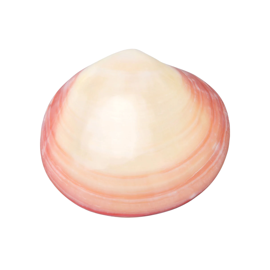 Lava Shells and thermaBliss – Shared Beauty Secrets